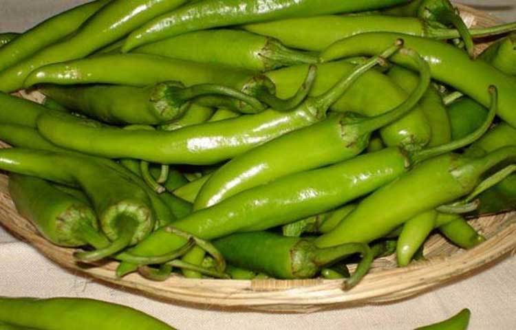 ঠান্ডার সঙ্গে লড়তে সাহায্য করে কাঁচা মরিচ। হঠাত ঠান্ডা লাগার সমস্যা ও সাইনাসের সমস্যা থেকে বাঁচায় কাঁচা মরিচের থাকা ক্যারাসাসিন।