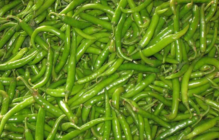 হাড় শক্ত করতে কঁচা মরিচের বিশেষ ভূমিকা রয়েছে। কাঁচা মরিচের থাকে প্রচুর পরিমাণে ভিটামিন এ। ফলে এটি শুধুমাত্র হাড় শক্তই করে না বরং দাঁতকেও মজবুত করে।