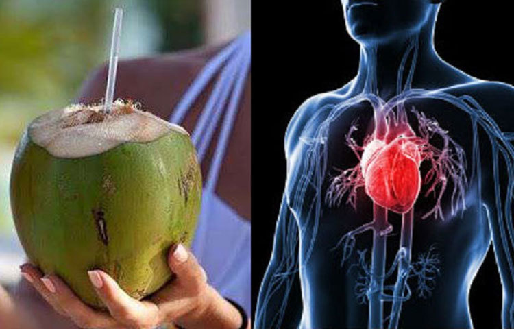 হার্টের সমস্যা দূর করে : ডাবের পানি হার্টকে ভালো রাখতেও সাহায্য করে। হার্টকে ভালো রাখতে খাবারের তালিকায় ডাবের পানি যোগ করতে পারেন। এটা প্রমাণিত, ডাবের পানি হার্ট অ্যাটার্কের সম্ভবনা অনেকটা কমায়। এটি হাইপারটেনশনও কমায়।