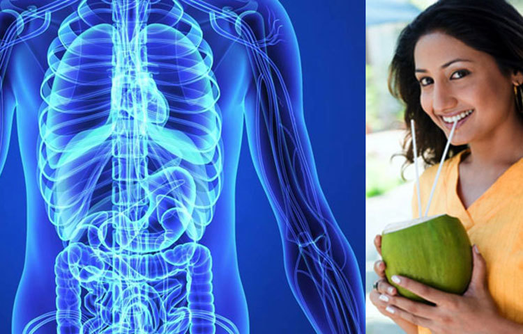 মজবুত হাড় : হাড়কে মজবুত রাখার জন্য দরকার ক্যালসিয়াম ও আরো অনেক পুষ্টিগুণ। বিভিন্ন গবেষণায় দেখা গেছে, ডাবের পানিতে ক্যালসিয়াম আছে যেটা হাড়ের জন্য একটি অতি প্রয়োজনীয় উপাদান। এবং ম্যাগনেসিয়াম যেটা হাড়কে ভালো রাখতে সাহায্য করে।