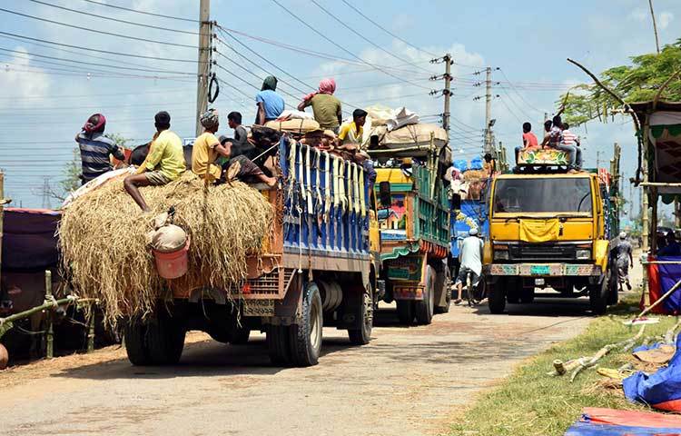 ট্রাকে করে দেশের বিভিন্ন স্থান থেকে কুরবানির পশু আনা হচ্ছে। ছবি : বিপ্লব দিক্ষিৎ
