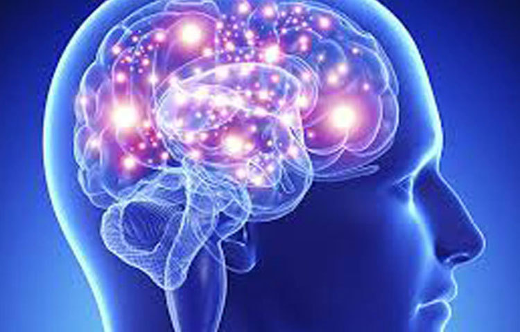 মস্তিষ্ক সচল রাখে : খেজুরের সব থেকে বড় গুণ হল খেজুর মস্তিষ্ককে প্রাণবন্ত রাখে। আমাদের ক্লান্ত শরীরে যথেষ্ট পরিমাণ শক্তির জোগান দিতে সক্ষম এই খেজুর।