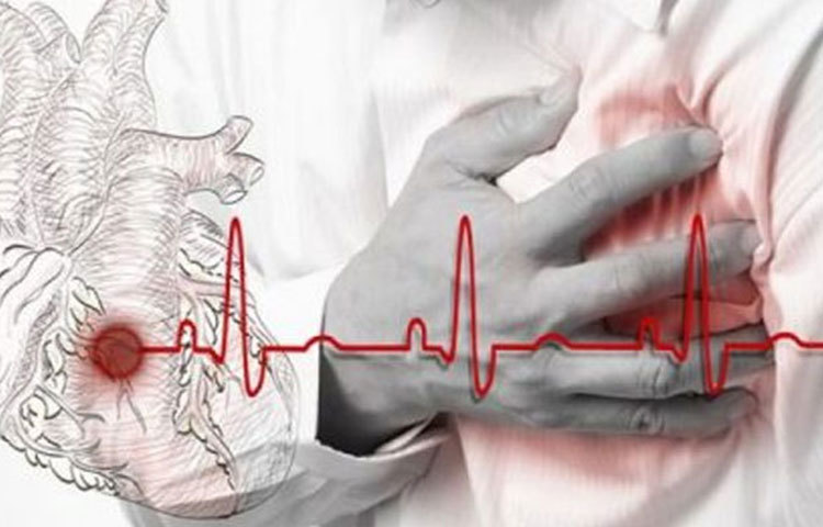 হার্টের সমস্যা দূর করে : বিশেষ করে যাদের হার্টের সমস্যা আছে তাদের জন্য খেজুর খুবই উপকারি। কেননা খেজুর দুর্বল হার্টকে মজবুত করতে সক্ষম করে। প্রতিদিন সকালে খালি পেটে খেজুর ব্লেন্ড করা জুস খেলে হার্টের সমস্যায় কিছু দিনের মধ্যে উপকার পাবেন। হৃদরোগ কমাতেও খেজুর বেশ কার্যকরী ভূমিকা পালন করে থাকে।