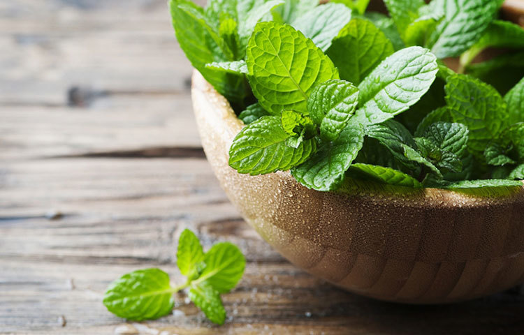 পুদিনা পাতা চোখের তলায় কালি দূর করতে পারে। এক সপ্তাহ পুদিনা পাতা বাটা ব্যবহারেই মিলবে ফল। সারারাত এই মিশ্রণ চোখে লাগিয়ে রাখতে হবে।