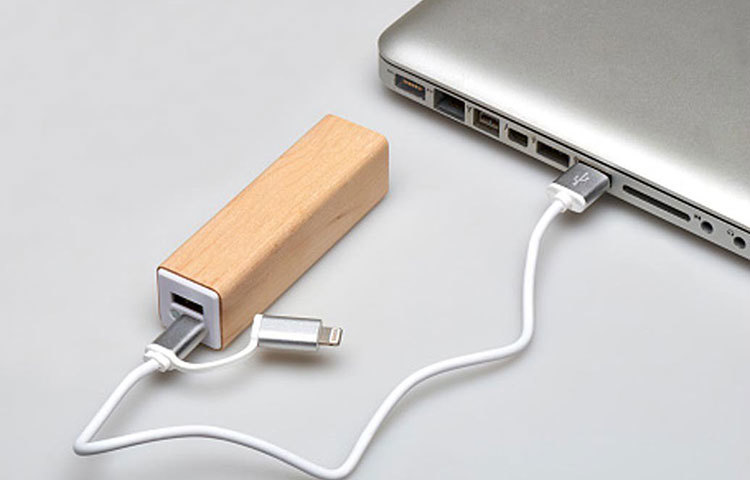 পাওয়ার ব্যাঙ্ক : যে কোনো সময় ফোনের চার্জ শেষ হয়ে যেতে পারে। আর চার্জ দেওয়ার জায়গা না পেলে তো সমস্যা পড়তে হয়। তাই নিজের সঙ্গে পাওয়ার ব্যাঙ্ক রাখাটা খুবই জরুরি।