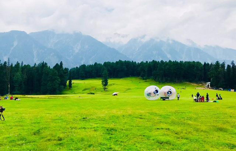 কাশ্মিরের সৌন্দর্য উপভোগ করতে এসেছেন পর্যটকরা। ছবি : তাসিকুল হক