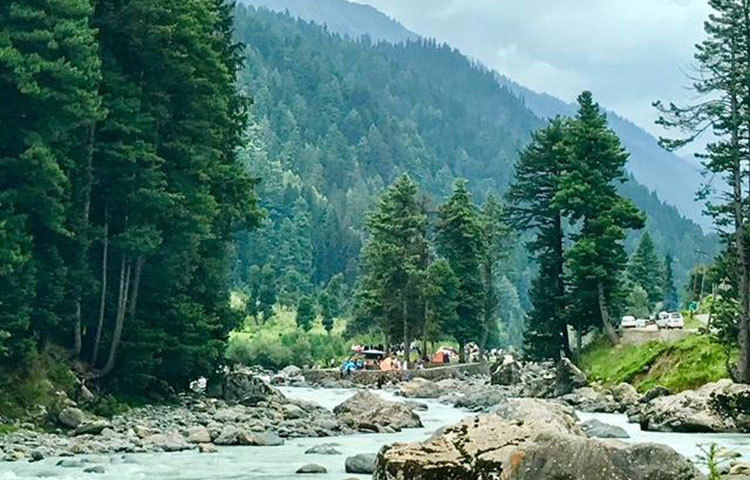 পাথুরে স্বচ্ছ জল বয়ে চলছে, এ জলের সৌন্দর্যে মুগ্ধ হতে হয়। সেই সঙ্গে পাহাড়ি গাছের মায়া মনকে ভালো করে দেবে। ছবি : তাসিকুল হক