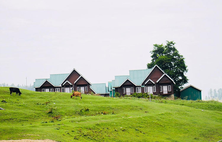 কাশ্মির সত্যিই পৃথিবীর অন্যমত সৌন্দর্যের লীলাভূমি। ছবি : তাসিকুল হক