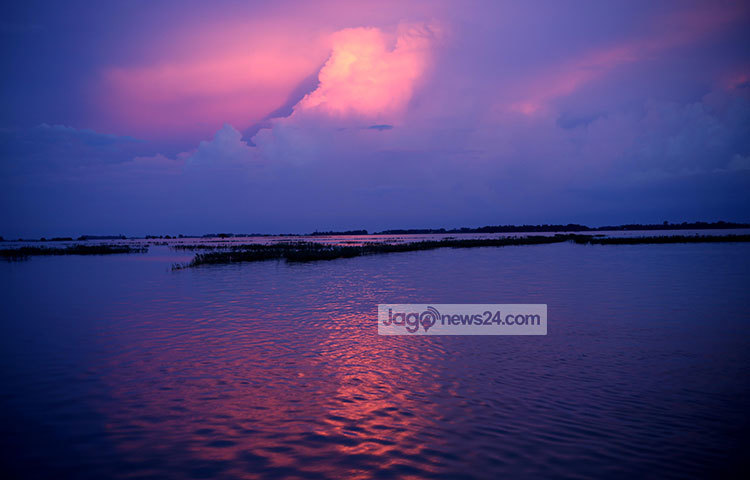 হাওর অঞ্চল বলে বছরের প্রায় সাত থেকে আট মাস খালিয়াজুরী থাকে পানিবন্দী। শীতে হাওরের পানি নেমে গিয়ে জেগে ওঠে সবুজ ভূমি। আদিগন্ত বিস্তৃত সবুজের যেন কোন সীমা নেই। ছবি : মাহবুব আলম