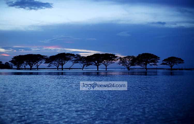 হাওরের বুকে দিনের শেষের আলো আঁধারিতে দাঁড়িয়ে আছে। চোখজুড়ানো মায়াময় দৃশ্য। ছবি : মাহবুব আলম