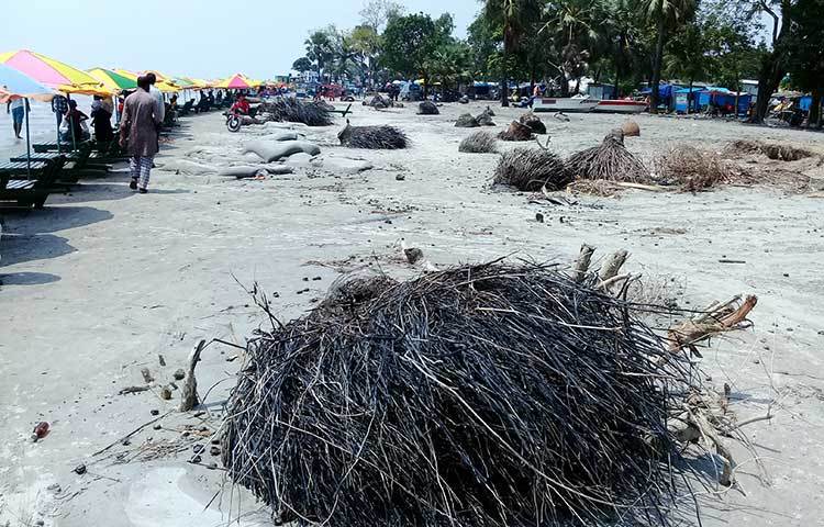 কুয়াকাটা সমুদ্র সৈকতের জিরো পয়েন্টের পূর্ব পাশে এভাবে ছড়িয়ে ছিটিয়ে পরে আছে অসংখ্য গাছের গুড়ি। ছবি : কাজী সাঈদ