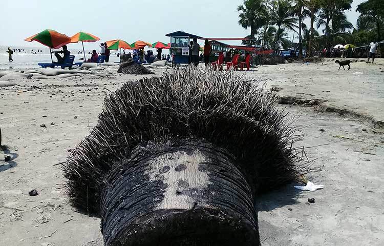 সাগরে জোয়ারের সময় আগত পর্যটকরা এখানেই গোসল করতে নামে। অথচ দীর্ঘদিন যাবত তালগাছের গুড়ি পড়ে আছে। কেউ অপসারণের উদ্যোগ নিচ্ছে না। ছবি : কাজী সাঈদ