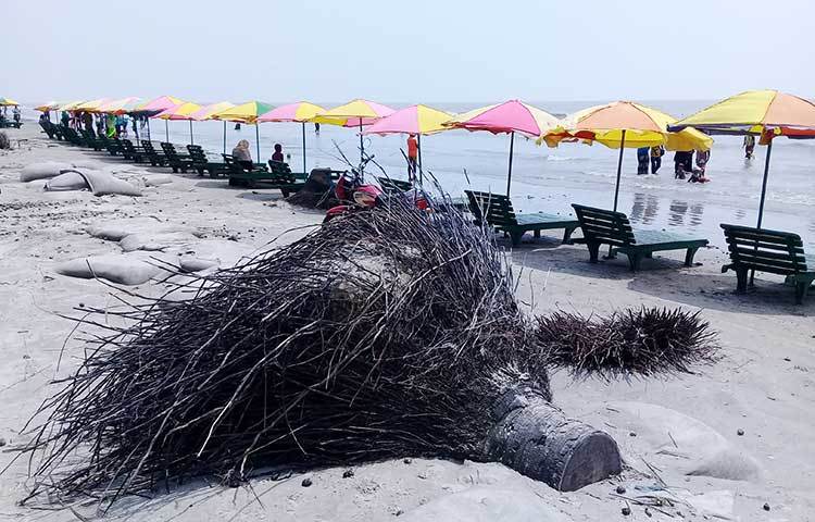 এই তালগাছের গুড়িটি দীর্ঘদিন এখানে এভাবেই পড়ে আছে। পর্যটকদের দুর্ভোগের কারণ হলেও দেখার কেউ নেই। ছবি : কাজী সাঈদ
