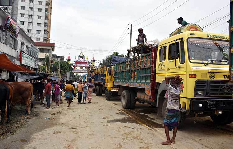 দেশের বিভিন্ন স্থান থেকে ট্রাকে করে গরু আনা হচ্ছে। ছবি : বিপ্লব দিক্ষিৎ
