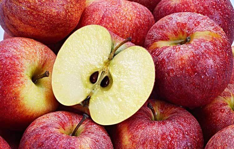 আপেল : প্রতিদিন ১টি করে আপেল খেলে তা লিভারকে সুস্থ রাখে। আপেলের পেক্টিন, ফাইবার দেহের পরিপাক নালী হতে টক্সিন ও রক্ত হতে কোলেস্টরোল দূর করে এবং সঙ্গে সঙ্গে লিভারকেও সুস্থ রাখে।