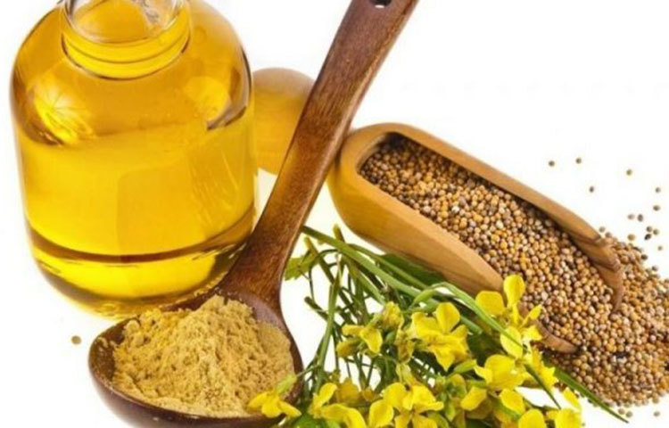 অ্যান্টি ফাংগাল হিসেবে ভালো কাজ করে সরিষার তেল। ফাংগাস হলে মাথায় খুসকি হতে পারে, চুল পাতলা হয়ে যেতে পারে।