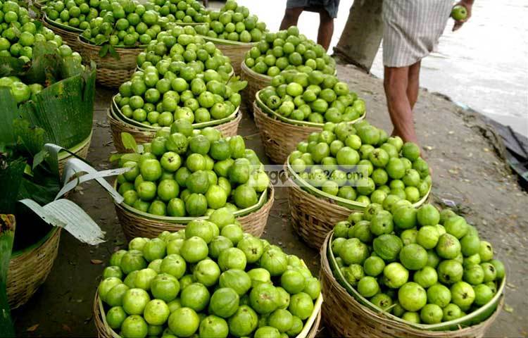 স্বরূকাঠির ভিমরুলী খালের পাড়ের একটি পেয়ারার হাট। ছবি : হাসান মামুন