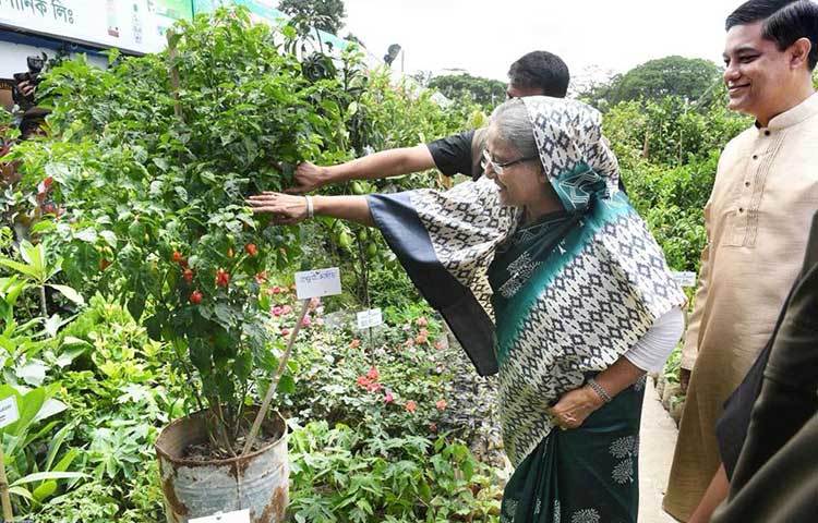 প্রধানমন্ত্রী বৃক্ষমেলার বিভিন্ন স্টল ঘুরে দেখেন।