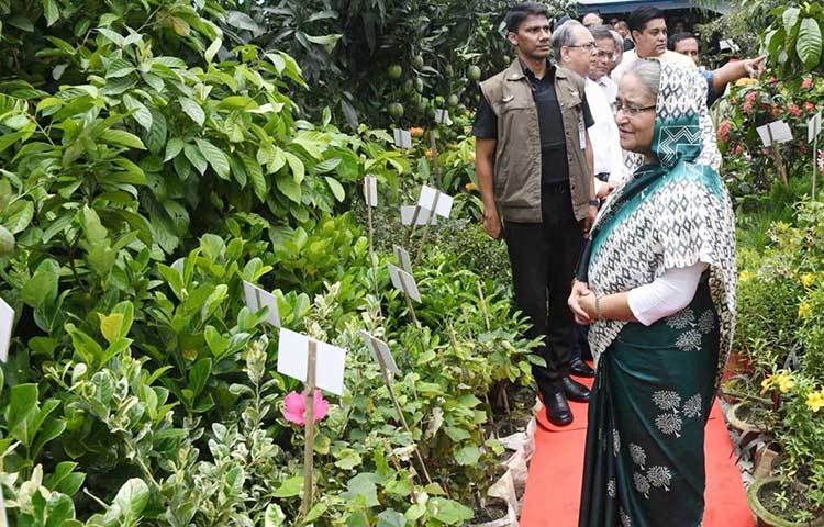 সবুজ গাছ-গাছালি মুগ্ধ হয়ে দেখছেন প্রধানমন্ত্রী।