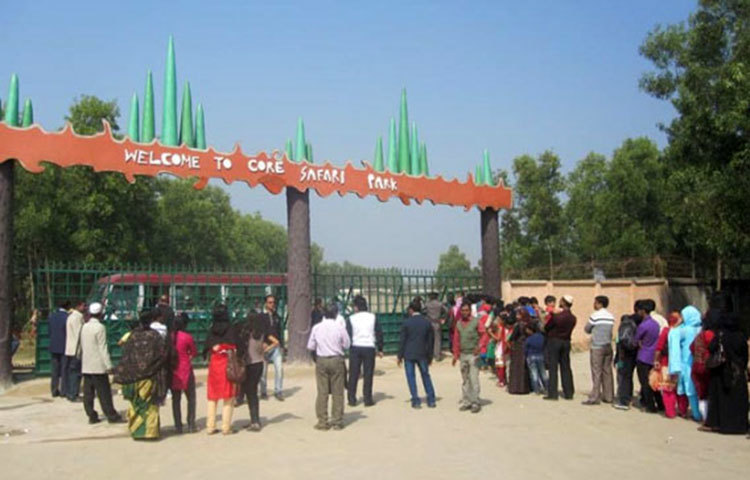বঙ্গবন্ধু শেখ মুজিব সাফারি পার্ক দেখতে দর্শনার্থীরা লাইন ধরে প্রবেশের জন্য অপেক্ষা করছেন।