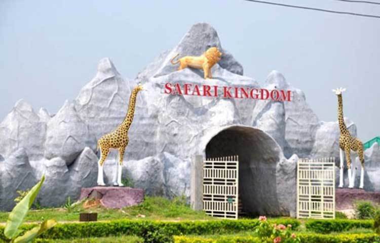 সাফারি কিংডম আপনাকে স্বাগত জানাতে অপেক্ষা করছে।
