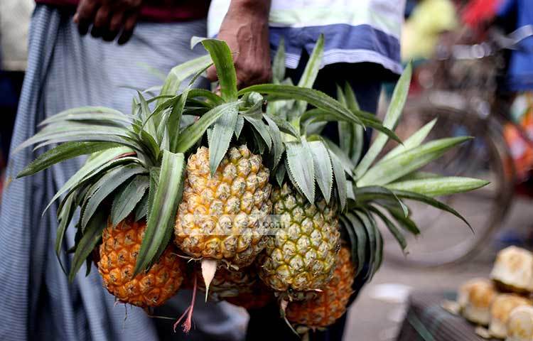 স্বাদে মিষ্টি আনারসের রয়েছে অনেক কদর। ছবি : মাহবুব আলম