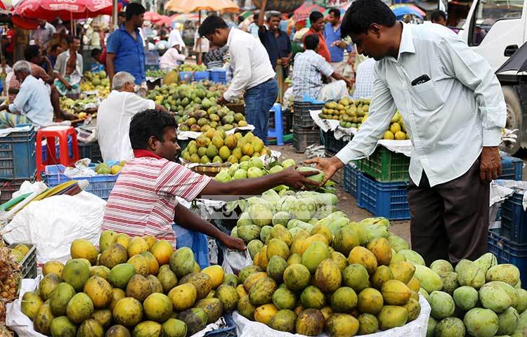ফলের রাজা আম। শুধু রাজধানীতে নয় এক দেশের সর্বত্র এখন আম পাওয়া যাচ্ছে। ছবি : মাহবুব আলম