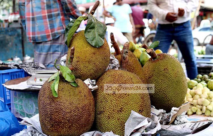 সুগন্ধময় রসালো ফল কাঁঠাল। দেশের প্রায় সব জেলাতেই এই ফল পাওয়া যায়। ছবি : মাহবুব আলম