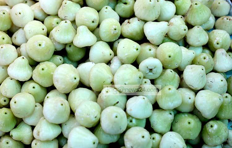 সাদা রঙের সুদৃশ্য জামরুল সবার নজর কাড়ে। রসে ভরা এই ফল খেতেও সুস্বাদু। ছবি : মাহবুব আলম