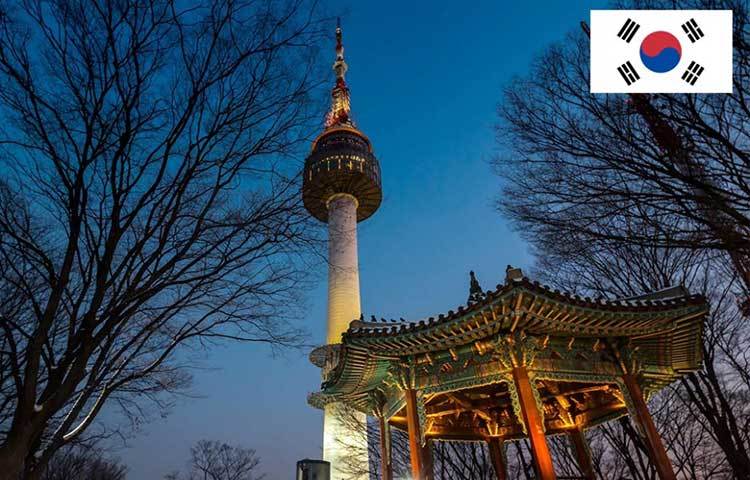 দক্ষিণ কোরিয়া : সে দেশের প্রতি ১ লক্ষ নাগরিকে আত্মহত্যার ঘটনা ২৮.৯ শতাংশ।