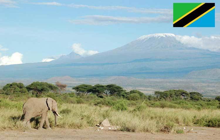 তানজানিয়া : প্রতি ১ লাখ নাগরিকে আত্মহত্যার ঘটনা ২৪.৯ শতাংশ।