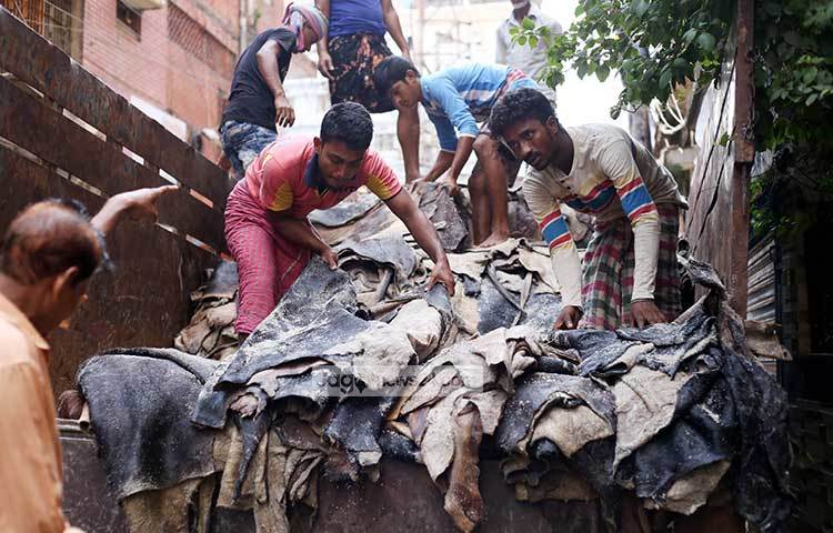 পুরান ঢাকার পোস্তা থেকে চমড়ায় লবণ দিয়ে তা ট্রাকে তোলা হচ্ছে। এই চামড়া সাভারের ট্যানারিতে নিয়ে যাওয়া হবে। ছবি : মাহবুব আলম। ছবি : মাহবুব আলম