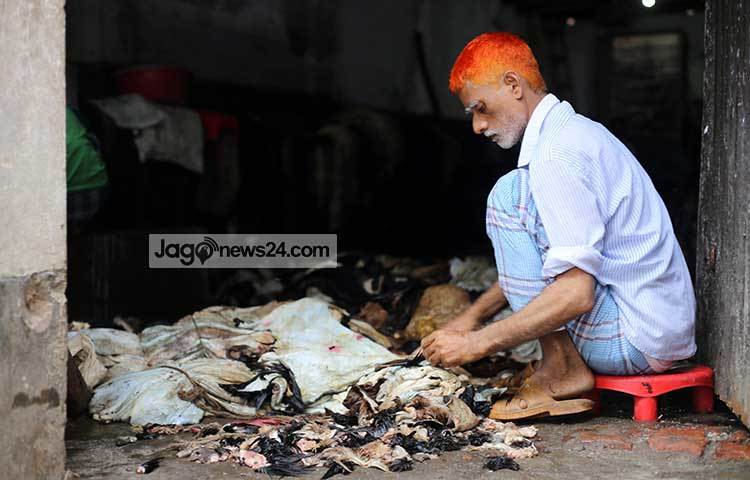 চামড়ার সঙ্গে থাকা অপ্রয়োজনীয় অংশ কেটে ফেলে দেয়া হচ্ছে। ছবি : মাহবুব আলম