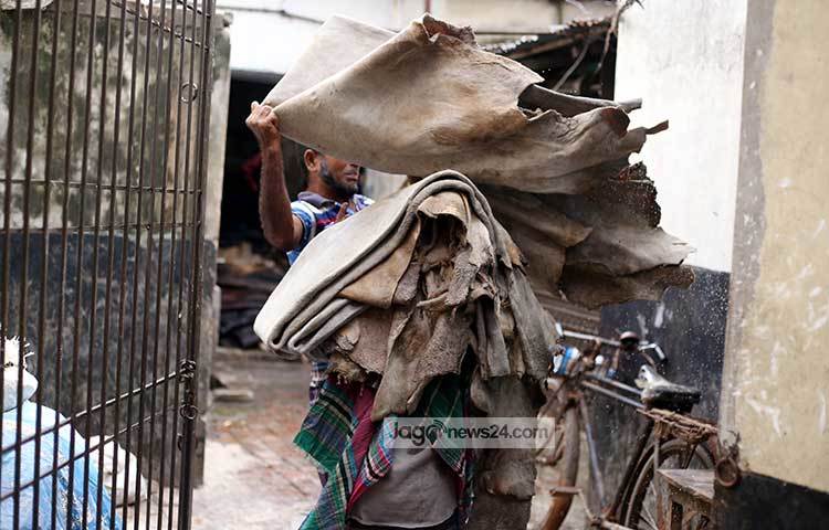 চামড়া তুলে দেয়া হচ্ছে একজন শ্রমিকের কাঁধে। ছবি : মাহবুব আলম