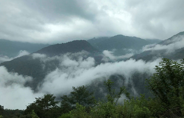 ভুটানে মেঘ পাহাড়ের মিতালী সব সময়। চলতে চলতে কখনও কখনও আপনিও গাড়িসহ মেঘের মাঝে হারিয়ে যাবেন।