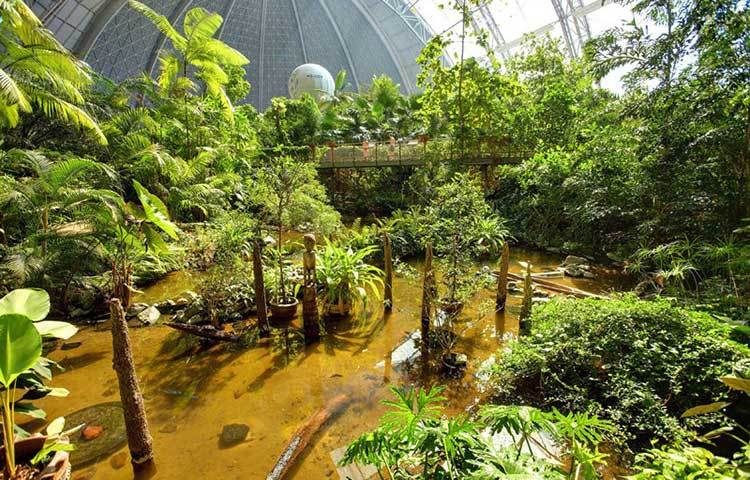 নির্মল আনন্দ ভ্রমণের জন্য জার্মানির অনেক পিতামাতা এই ওয়াটার পার্কে তাদের শিশুদের নিয়ে আসনে। এখানের সৌন্দর্য দেখে সবাই মুগ্ধ হয়ে যায়।