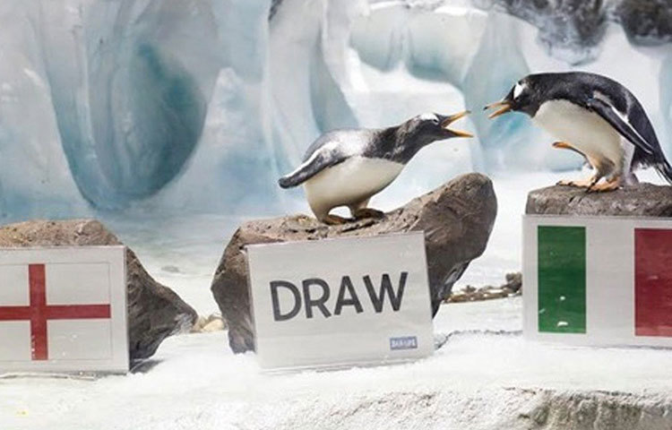 আলফ, ললি এবং গিনি : তিন পেঙ্গুইন। দলে সব থেকে প্রবীণ ছিল আলফ। সামনে রাখা থাকত তিনটি পাথর। দু’টিতে দুই দেশের পতাকা। আর মাঝে একটি পাথরের গায়ে ড্র লেখা কাগজ। আলফরা তার মধ্যে থেকে বেছে একটির উপর গিয়ে বসত। এভাবেই নিজেদের মতামত জানাত তারা।