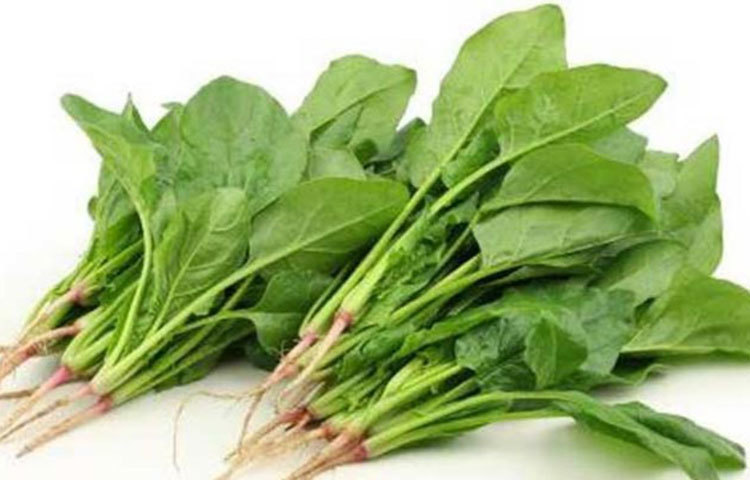 পালং শাক : পালং শাকে রয়েছে ফাইবার, পটাশিয়াম, ভিটামিন এবং মিনারেল। এতে প্রচুর পরিমাণে অ্যান্টি অক্সিডেণ্ট পাওয়া যায় যা দেহের ফ্রি র‌্যাডিকেল ধ্বংস করে দেয় এবং ত্বকে বয়সের ছাপ পড়তে দেয় না।