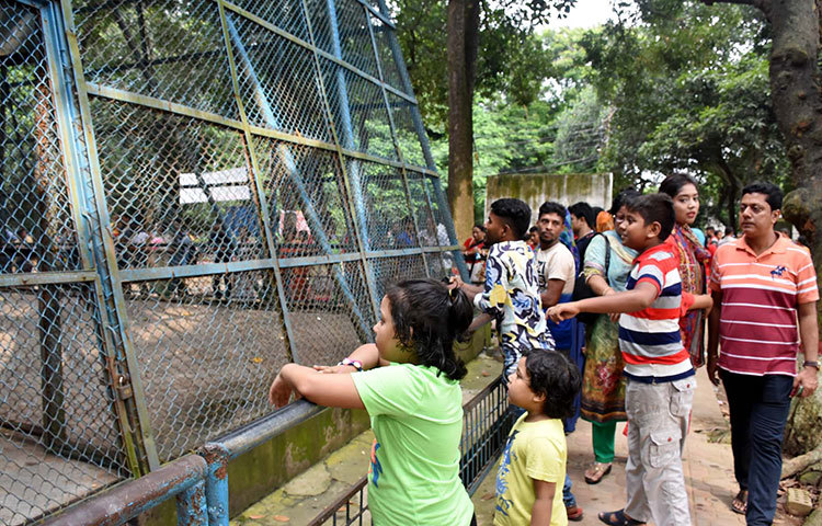 চিড়িয়াখানায় ঘুরতে এসে শিশু আনন্দে আত্মহারা। ছবি : বিপ্লব দিক্ষিৎ