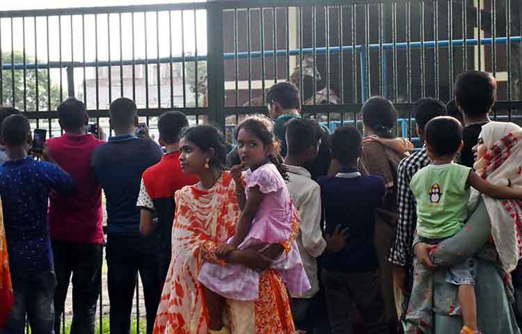 দর্শনার্থীরা জিরাফের ছবি তুলছেন। ছবি : বিপ্লব দিক্ষিৎ