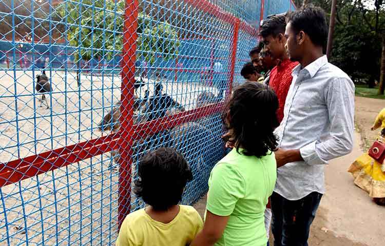 আগ্রহভরে খাঁচার ভেতরের প্রাণি দেখছে বিভিন্ন বয়সী দর্শনার্থীরা। ছবি : বিপ্লব দিক্ষিৎ