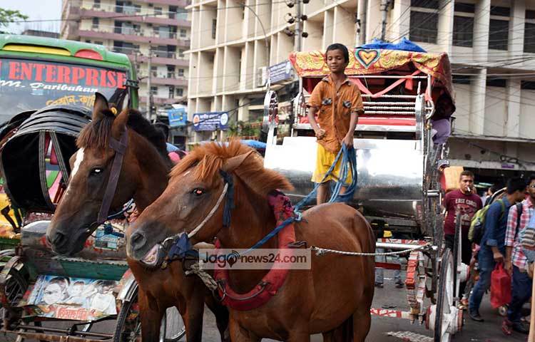ঘোড়ার গাড়ি চালাচ্ছে এক শিশু শ্রমিক। রাজধানীর গুলিস্তান এলাকা থেকে এ ছবি তোলা হয়েছে। ছবি : বিপ্লব দিক্ষিৎ