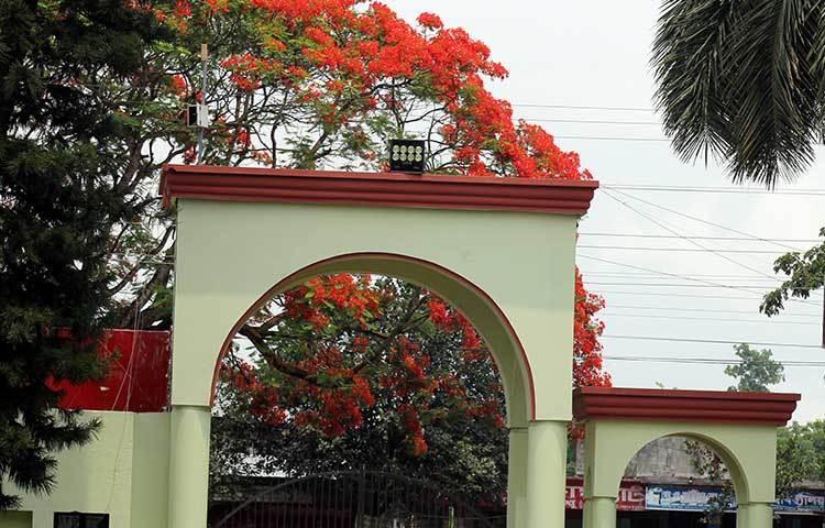 বিশ্ববিদ্যালয়ের প্রধান ফটকটিকে যেন ঢেকে রেখেছে গ্রীষ্মের সবথেকে চকটদার আগুনরাঙা কৃষ্ণচূড়া। ছবি : সোহাগ