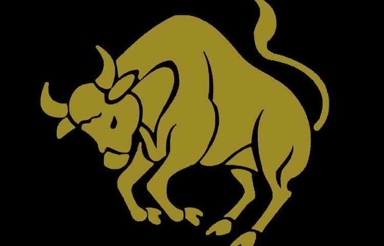 বৃষ : এই রাশির জাতকের জন্ম কৃত্তিকা, রোহিণী ও মৃগশিরা নক্ষত্রে হয়। এই মাসে পুরনো কিছু শেষ হয়ে নতুন কোনও সূচনা হতে পারে- যেমন সম্পর্ক। প্রেমের ক্ষেত্রে সম্পর্ক স্থাপন করতে হলে এই মাসের প্রথম সময়টা খুব ফলপ্রদ। কর্মক্ষেত্রেও শুভফলের ইঙ্গিত। তবে শরীর সম্পর্কে সচেতন থাকুন।