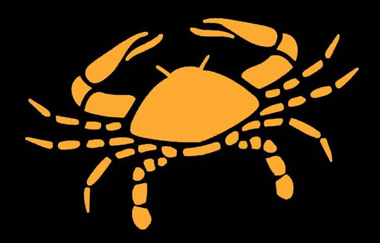 কর্কট : পুর্নব্বসু, পুষ্যা, অশ্লেষা নক্ষত্রে এই রাশির জাতকের জন্ম হয়। কেবল মাত্র উদাসীনতার জন্য এই মাসে অনেক সুযোগ হারাবেন। তবে নতুন কর্ম প্রচেষ্টায় সফলতা লাভ করতে পারেন। হঠাৎ হঠাৎ অর্থপ্রাপ্তি ঘটবে। এই মাসে প্রেমের ক্ষেত্রে সফলতা আসবে।