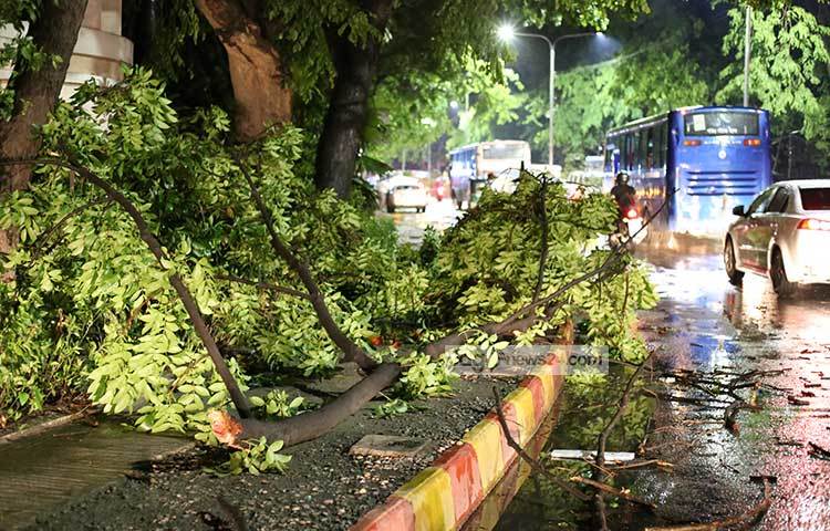 গাছের ডাল ভেঙে রাস্তার উপর পড়েছে। এতে করে গাড়ি চলাচলে সাময়িক অসুবিধার সৃষ্টি হয়। ছবি : মাহবুব আলম