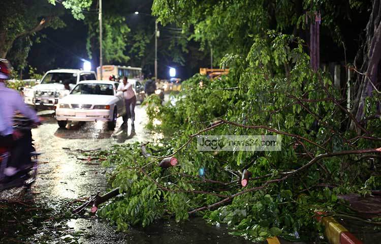 রাস্তায় পড়ে থাকা ডালপালা কেটে সরিয়ে নেয়া হয়। ছবি : মাহবুব আলম