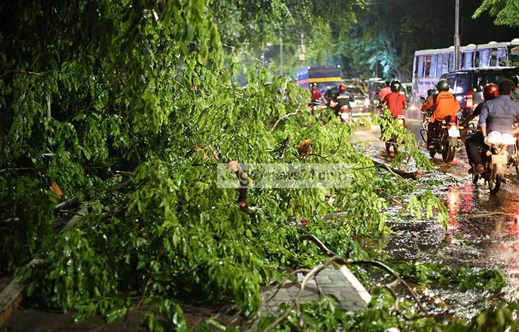 গাছের ডালপালা রাস্তার ফুটপাতে পড়ে স্তূপ হয়ে আছে। ছবি : মাহবুব আলম