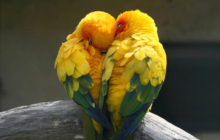 দু’জনের মধ্যে ঝগড়া হতেই পারে। কিন্তু, আপনার সঙ্গিনী এমন তুচ্ছ কারণে কখনওই সম্পর্কের ইতি টানবেন না। বরং তিনি চেষ্টা করবেন পরিস্থিতি স্বাভাবিক করার।