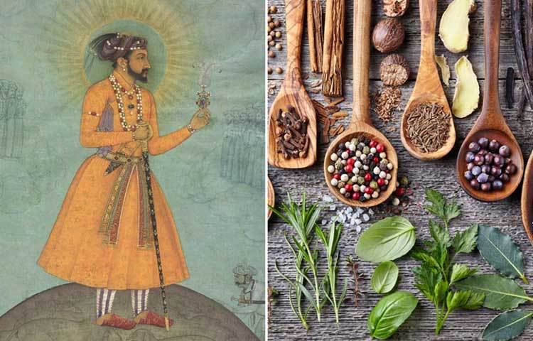 শাহজাহান : মশলার প্রতি শাহজাহানের আলাদা ঝোঁক ছিল। যমুনার জল ছাড়া তিনি অন্য কোনও জল পান করতেন না। তিনি পরিমিত মদ্যপান করতেন। ফলের মধ্যে আম ছিল তার প্রিয়।